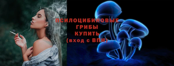 спайс Арсеньев