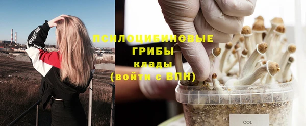 соль ск Аркадак