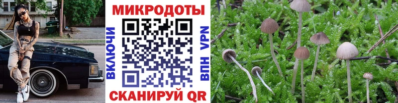 Псилоцибиновые грибы GOLDEN TEACHER  Узловая 